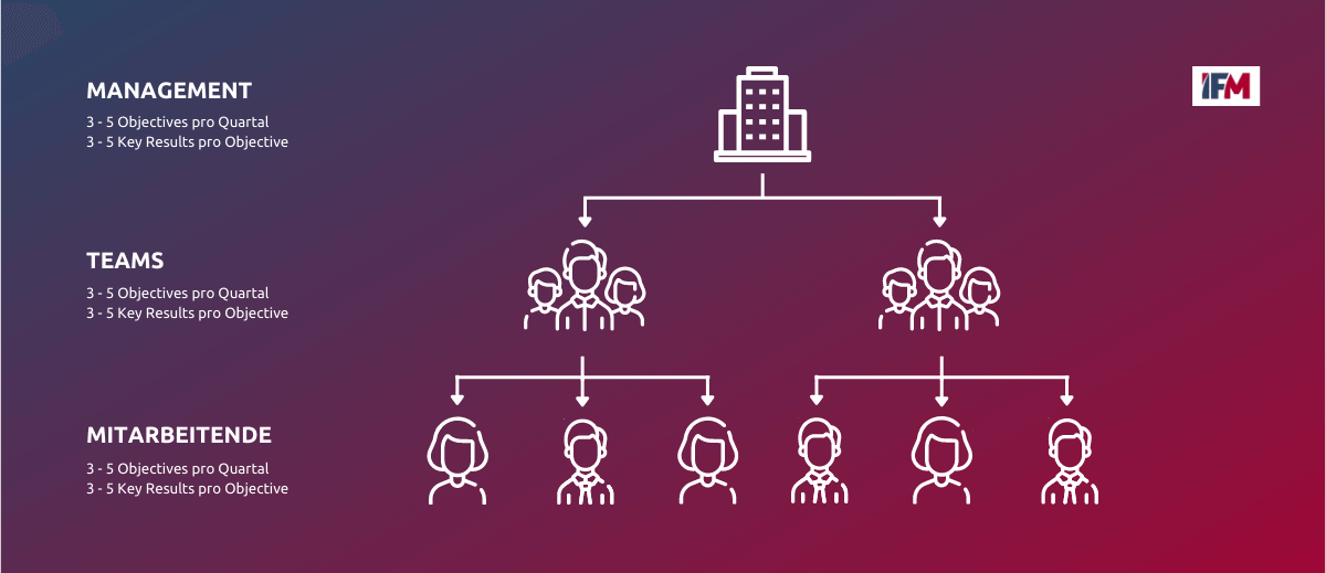 Aufbau der OKRs in einem Unternehmen: Management, Teams und Mitarbeitende