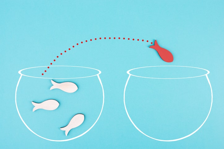 Fisch springt von einem Glas in ein anderes - so funktioniert Change Management
